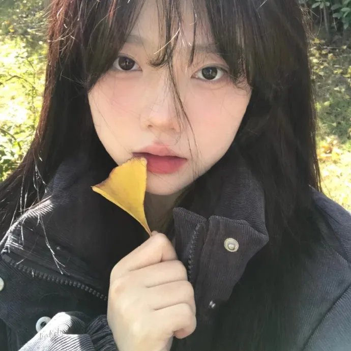 生命中的岛屿
