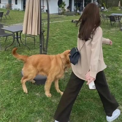 燃烧的心